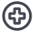 Medical Circle Icon